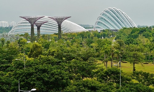Gardens by the Bay