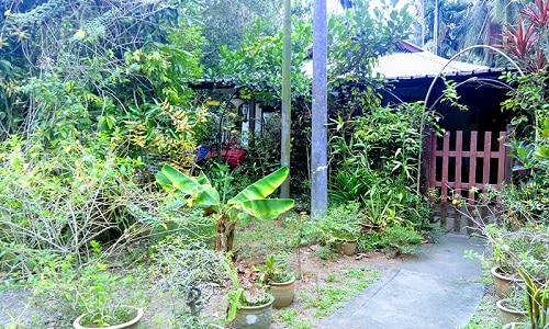 Kampong Lorong Buangkok