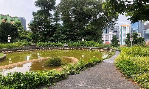 Pearl's Hill City Park